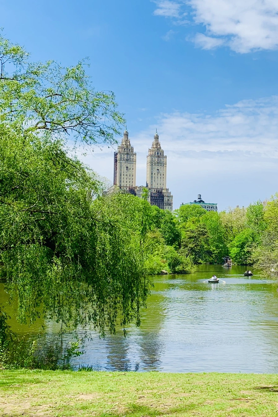 IMG_8821.jpg?type=w966