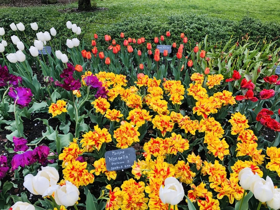 IMG_3742.jpg?type=w966