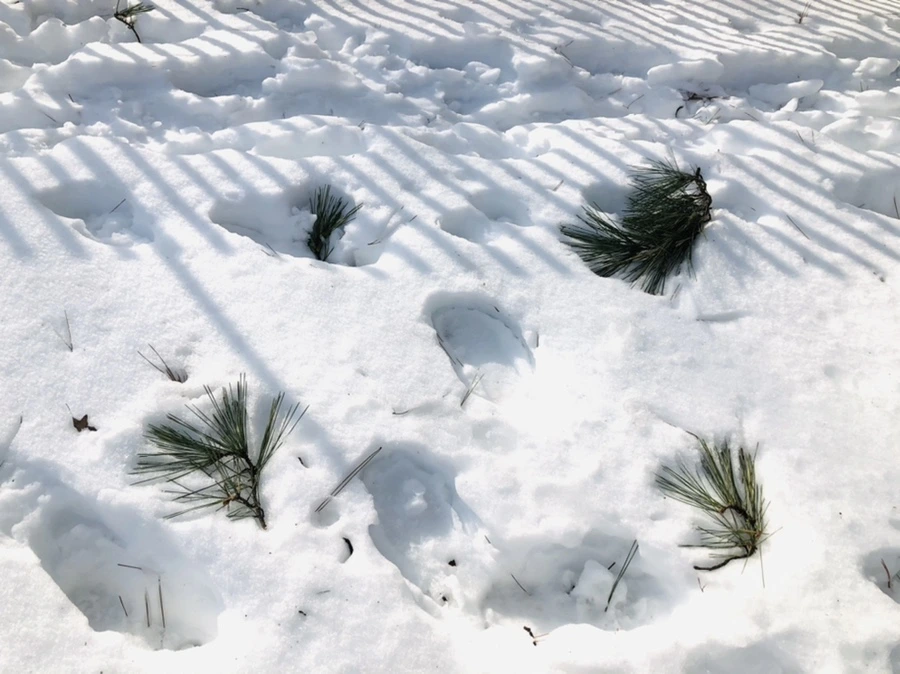 IMG_0135.jpg?type=w966