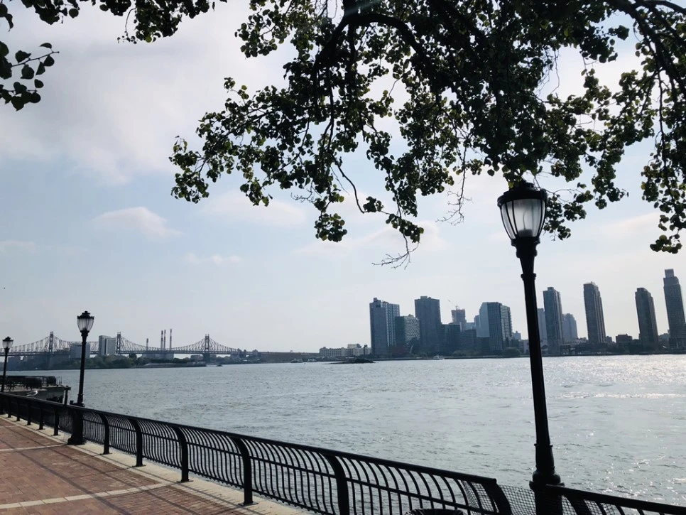 IMG_8240.jpg?type=w966