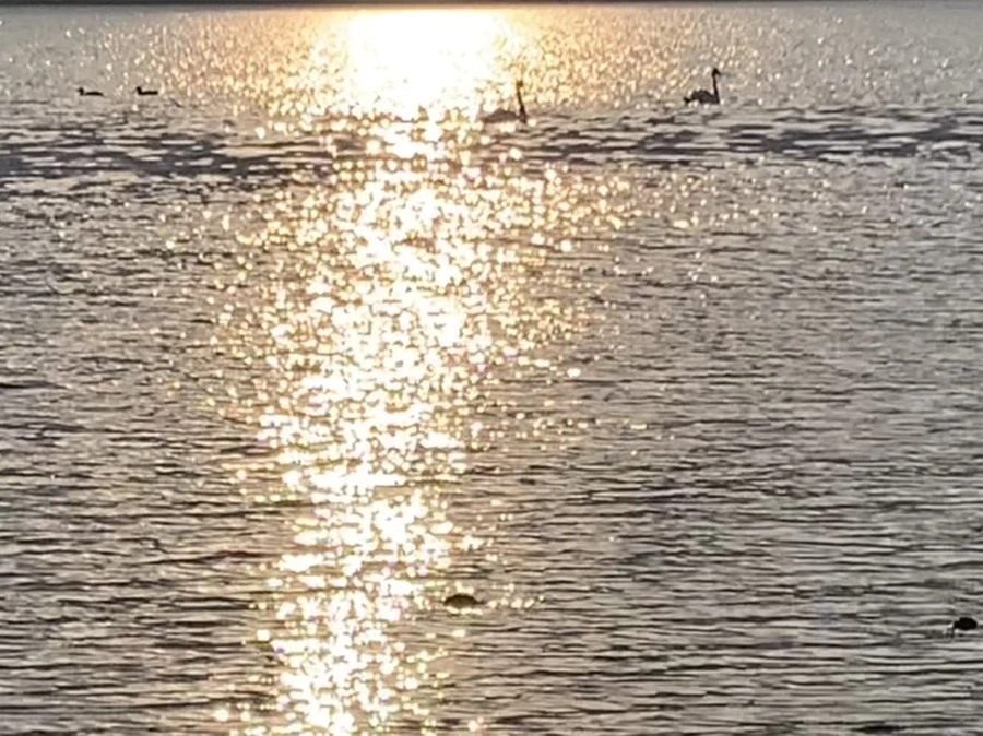 IMG_9974.jpg?type=w966