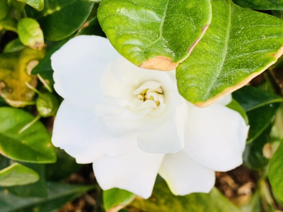 IMG_5642.jpg?type=w966