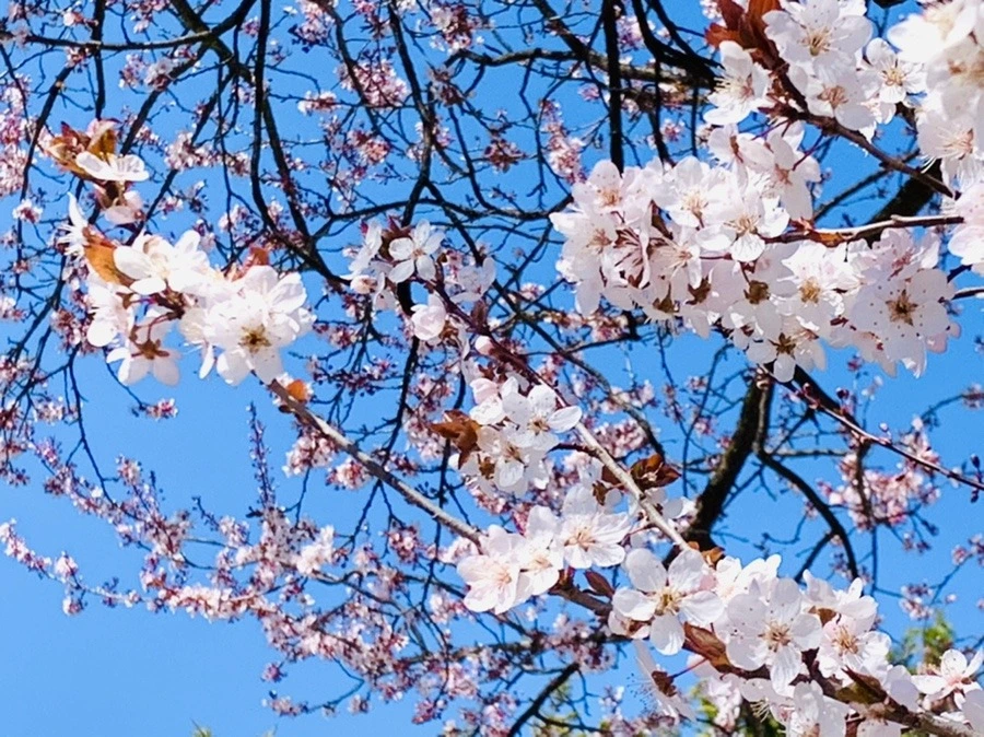 OXpK6Q3bR0xpSbgfypT0oWgnzg0