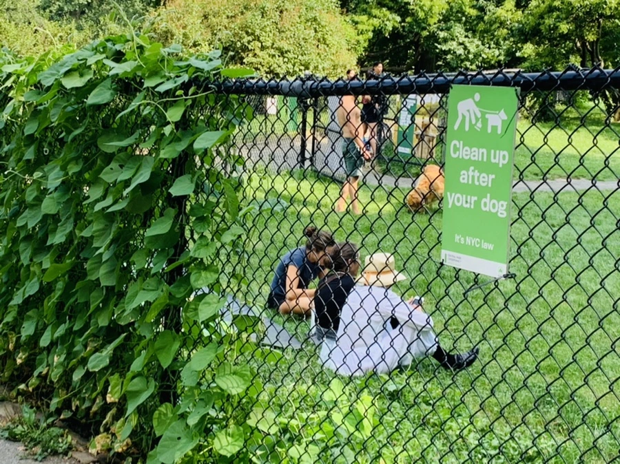 IMG_0628.jpg?type=w966