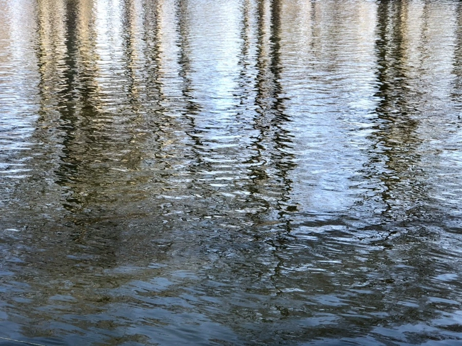 IMG_0297.jpg?type=w966