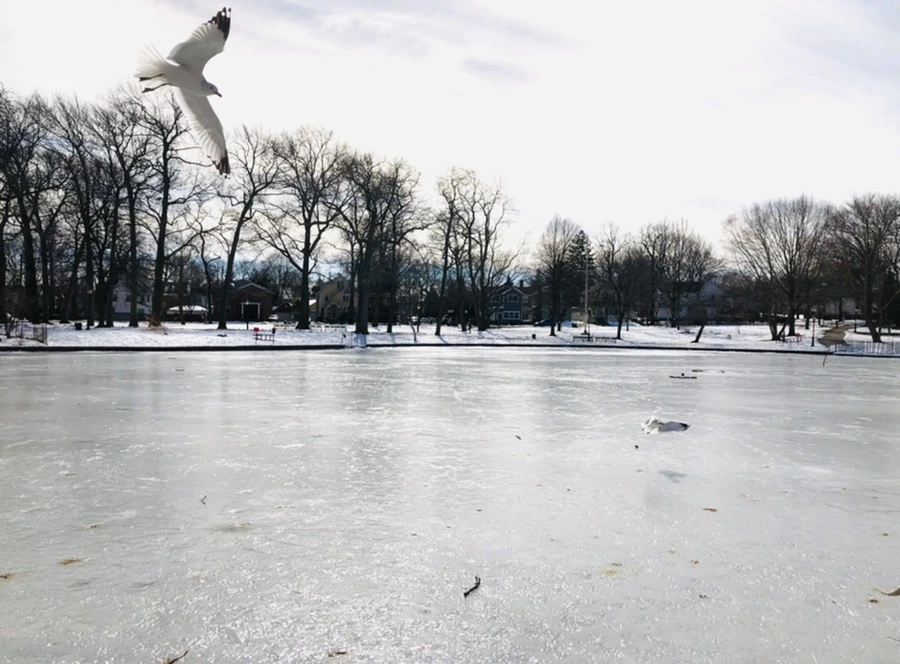 IMG_3205.jpg?type=w966