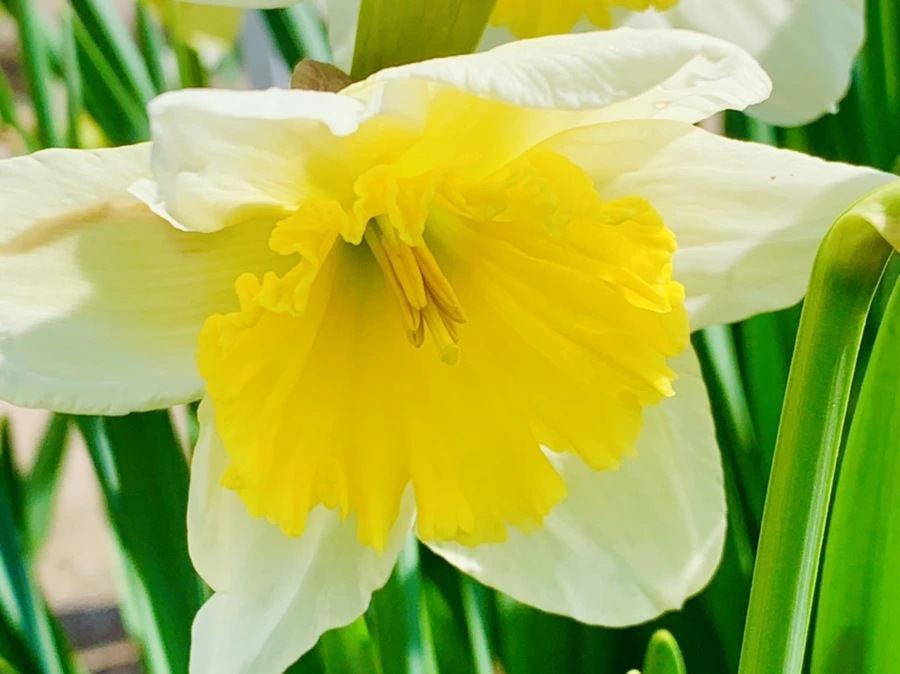 IMG_4168.jpg?type=w966