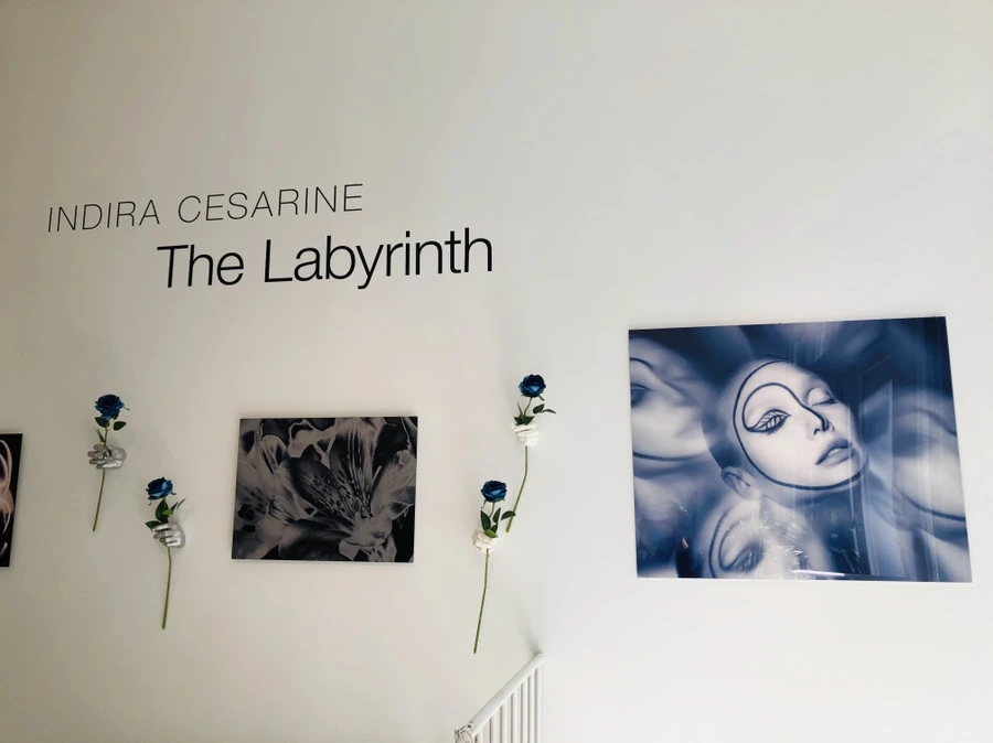 IMG_6577.jpg?type=w966