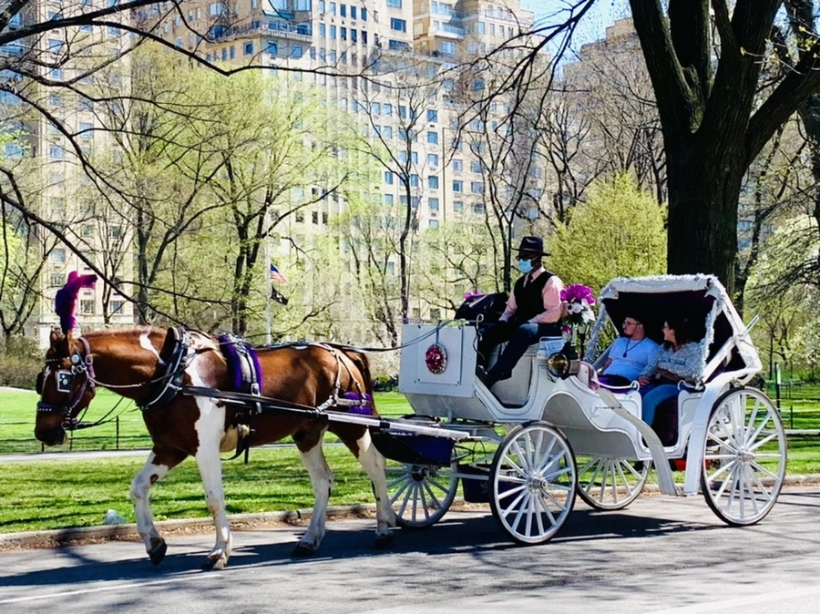 IMG_1693.jpg?type=w966