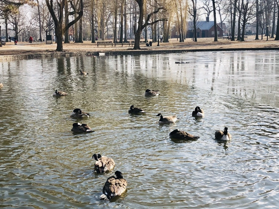 IMG_9257.jpg?type=w966