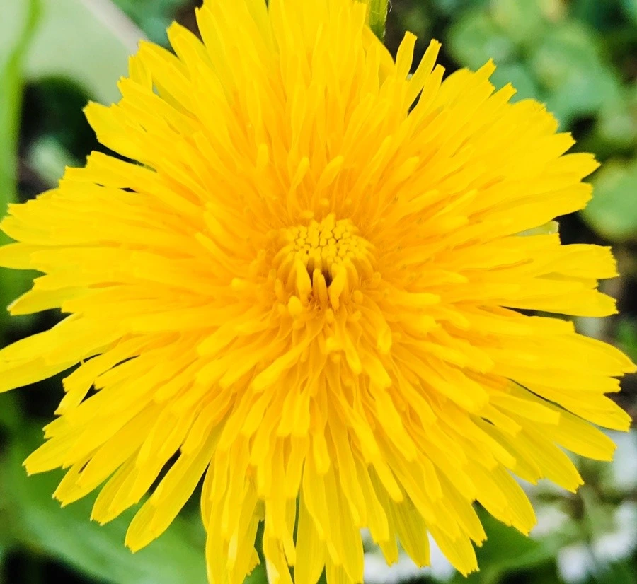 at07X0i64YoIMWudQGafFtQ1yJw