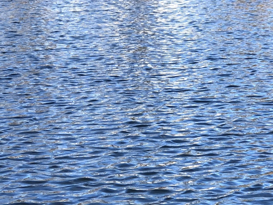 IMG_4012.jpg?type=w966