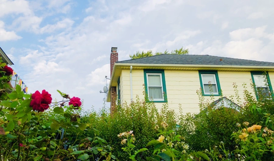 IMG_3679.jpg?type=w966