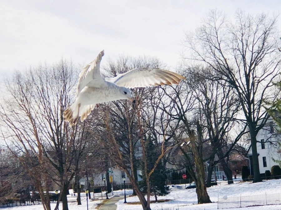 DkcnZ5erZk9eGTC1Ggl8SeZDk1E