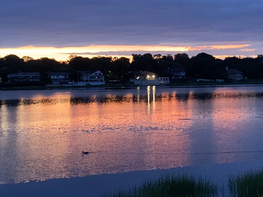 IMG_2228.jpg?type=w966