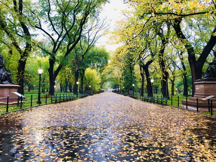 IMG_3132.jpg?type=w966