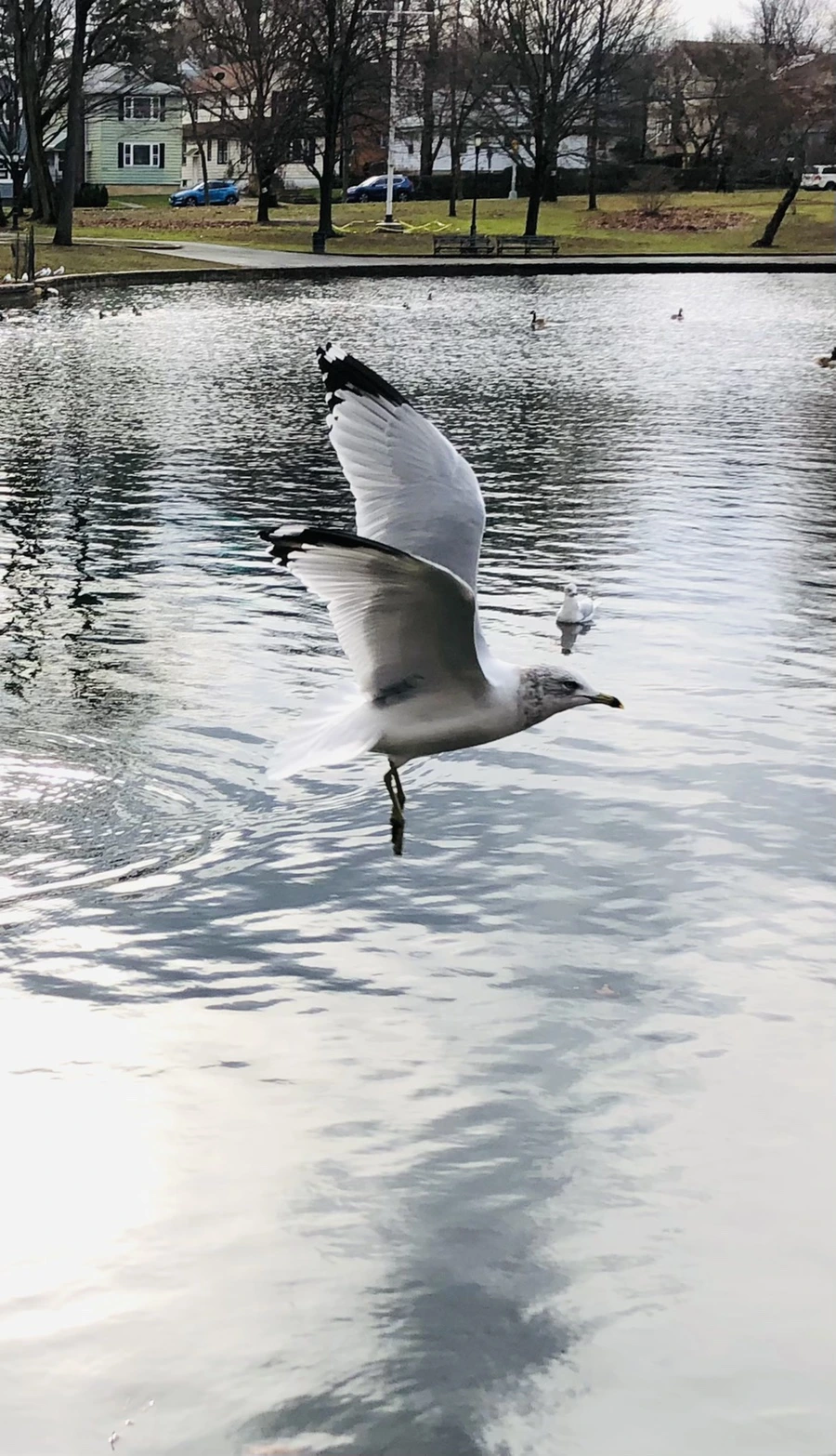 IMG_8661.jpg?type=w966