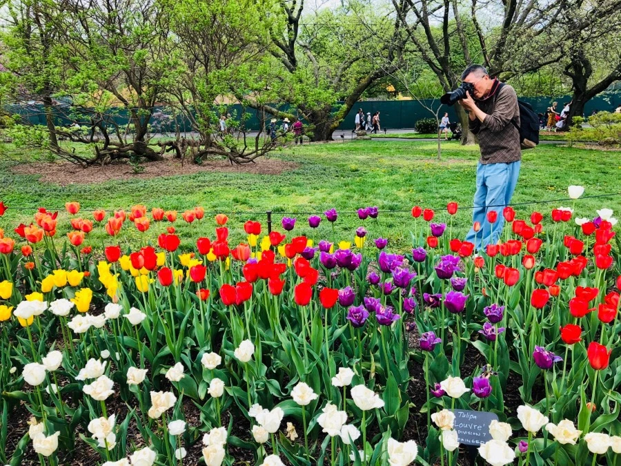 IMG_5509.jpg?type=w966