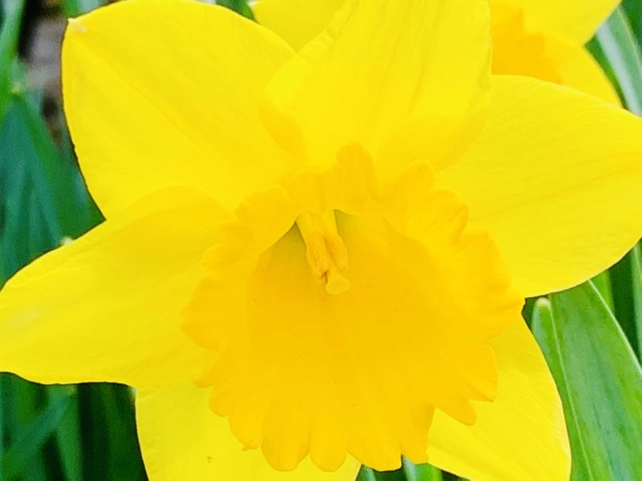 IMG_5891.jpg?type=w966