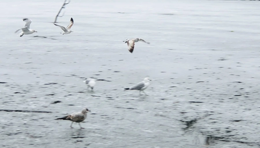 IMG_5524.jpg?type=w966