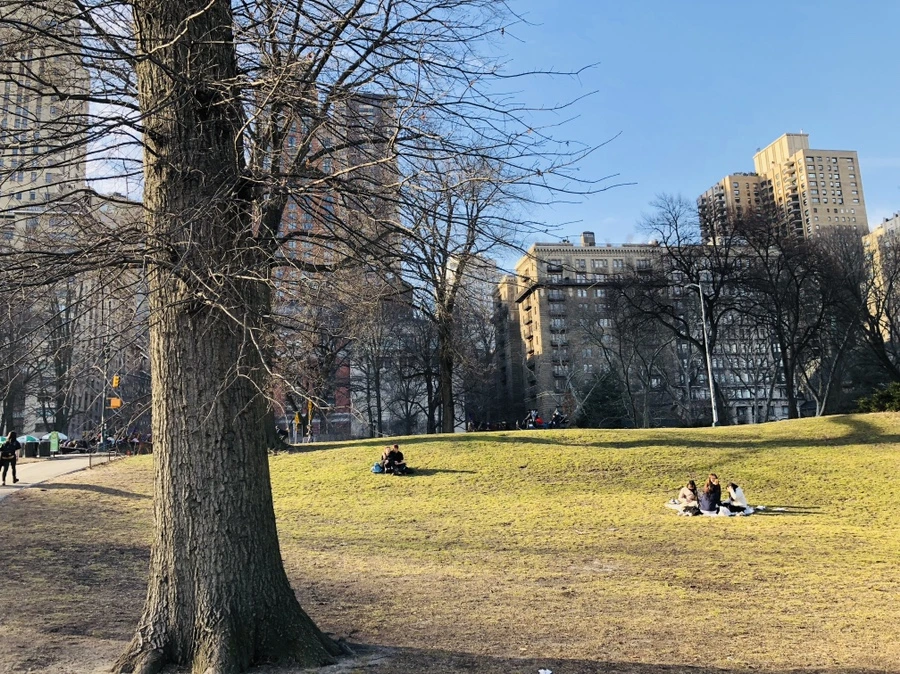 IMG_9426.jpg?type=w966