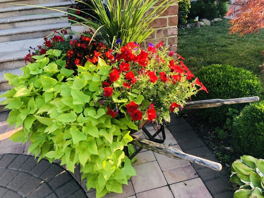 IMG_3589.jpg?type=w966