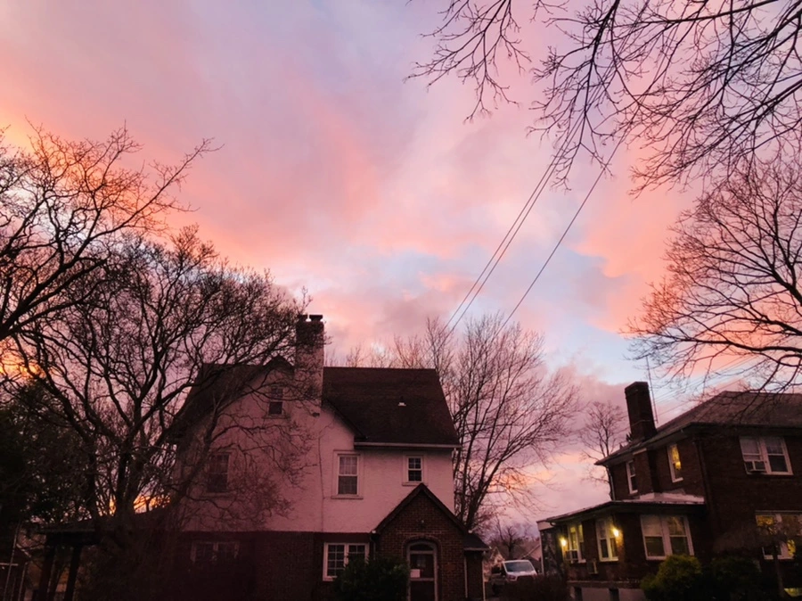 IMG_8252.jpg?type=w966