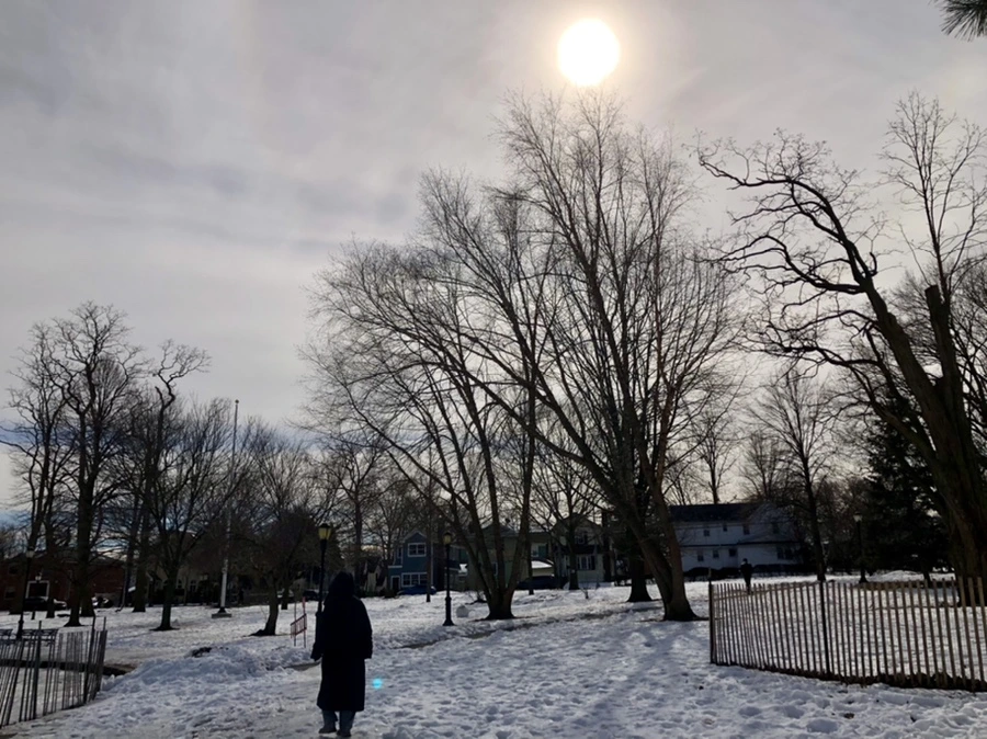 IMG_3093.jpg?type=w966