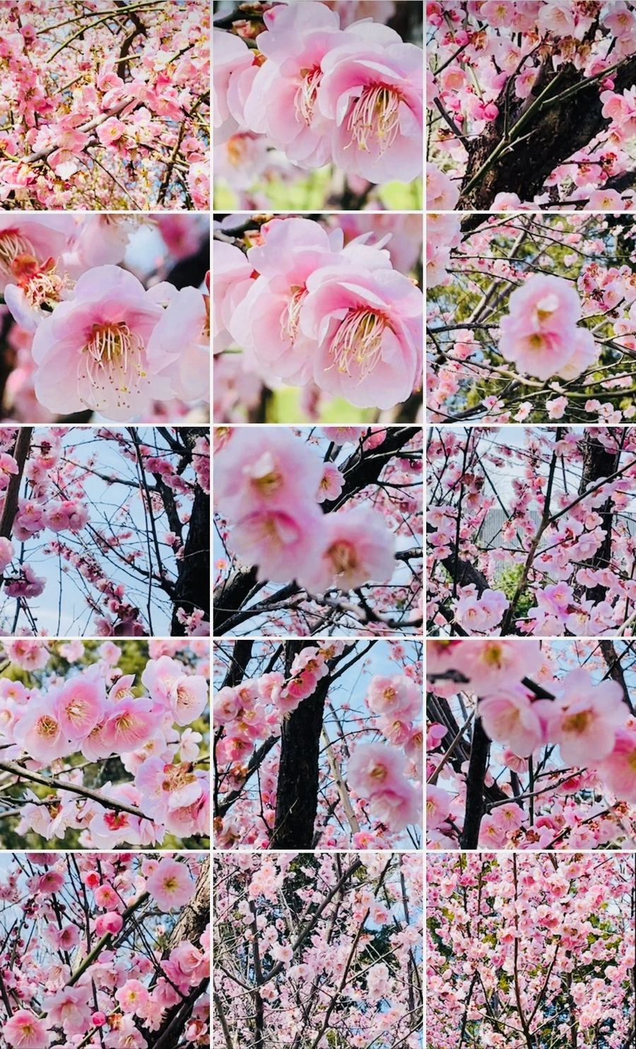 IMG_6778.jpg?type=w966