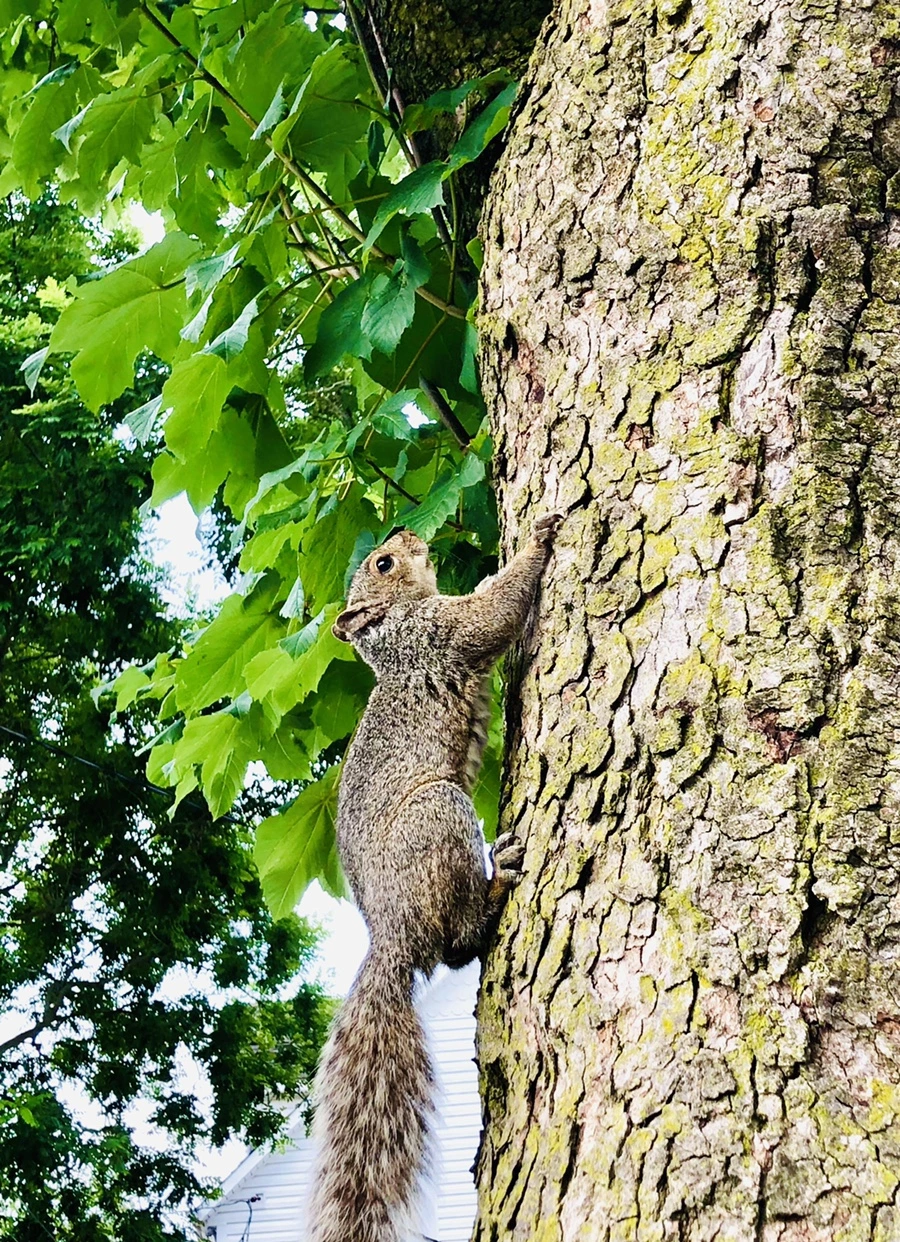 IMG_0253.jpg?type=w966