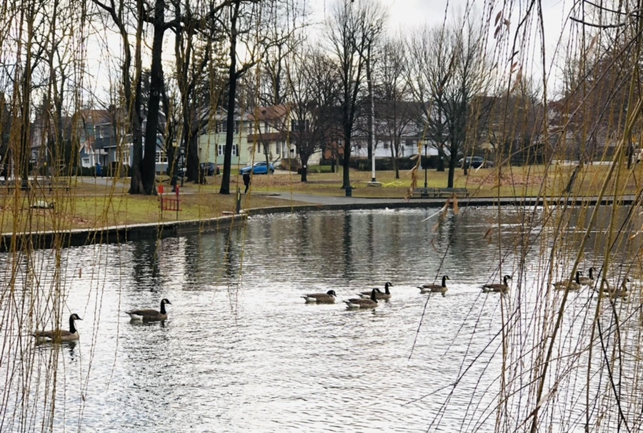 IMG_3467.jpg?type=w966