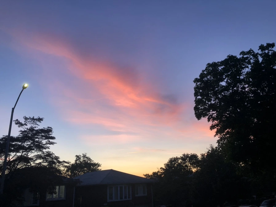 IMG_0020.jpg?type=w966