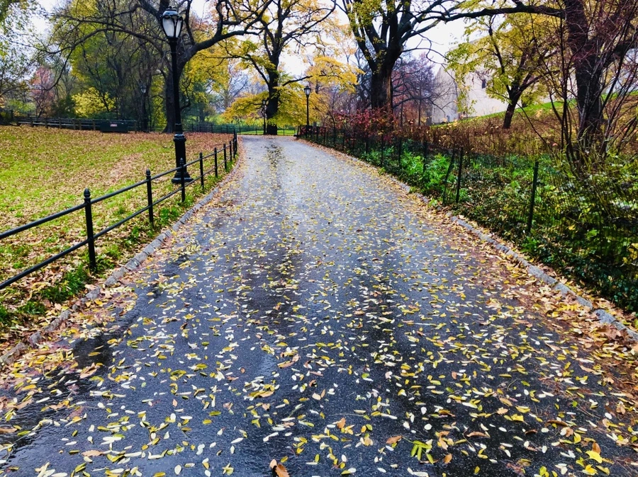 IMG_5709.jpg?type=w966