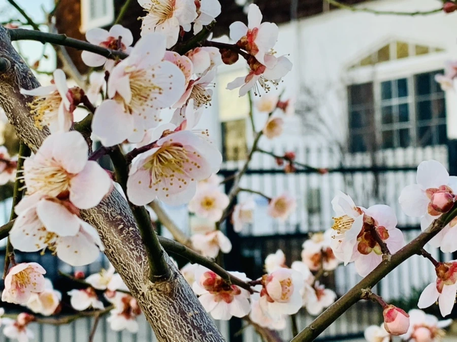 IMG_2275.jpg?type=w966