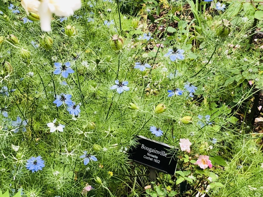 IMG_5970.jpg?type=w966