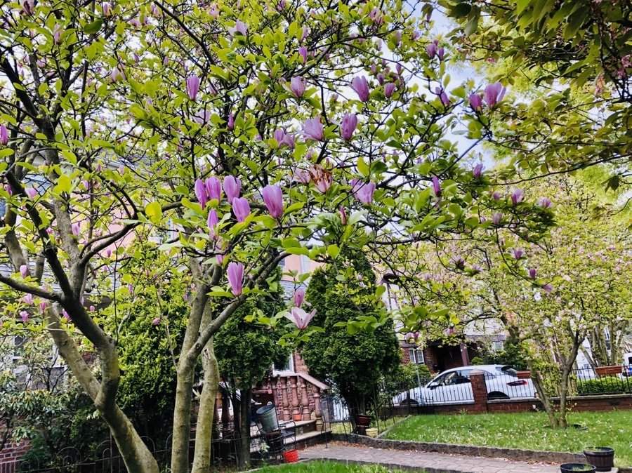 IMG_7273.jpg?type=w966