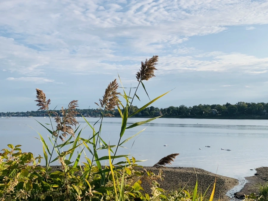 IMG_7809.jpg?type=w966