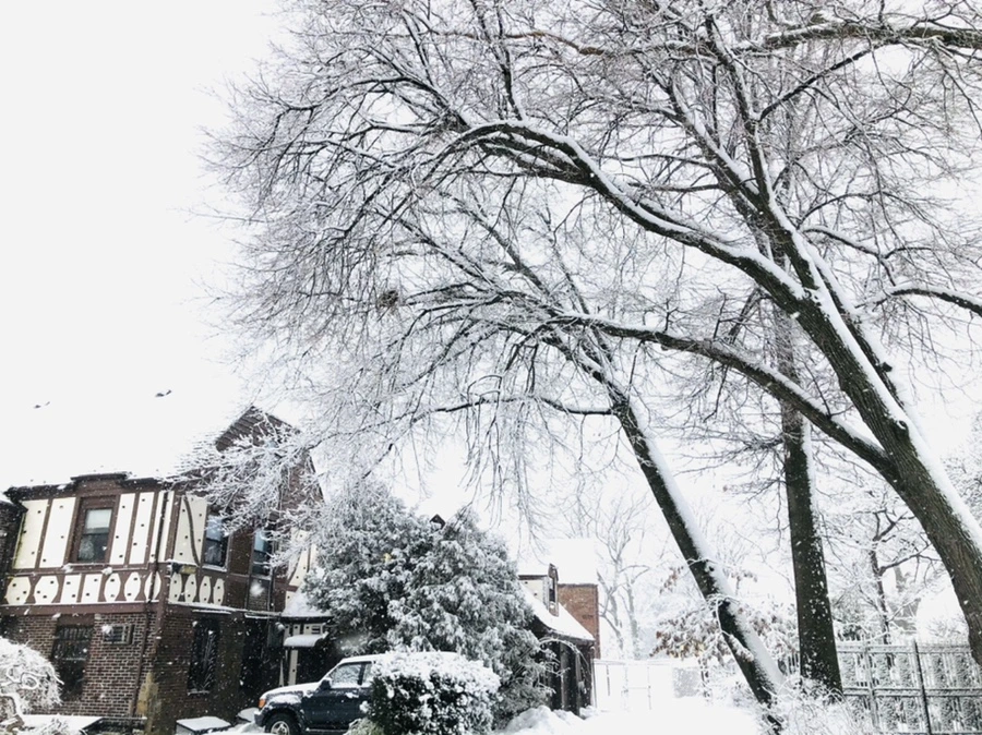 IMG_1005.jpg?type=w966