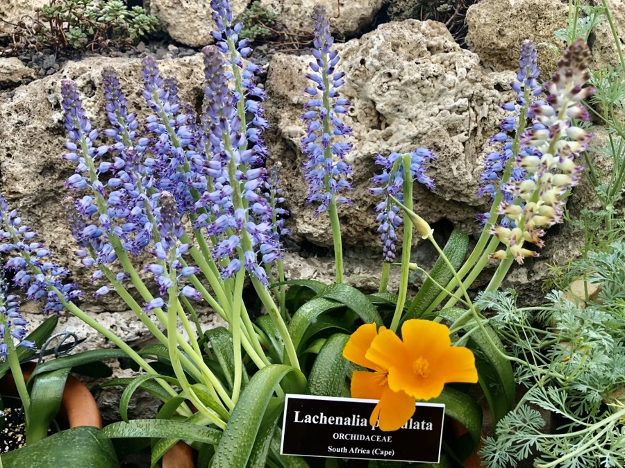 IMG_6239.jpg?type=w966