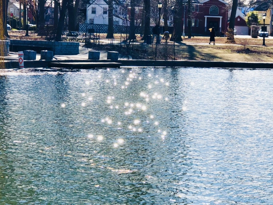 IMG_5317.jpg?type=w966