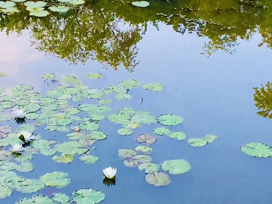 IMG_6400.jpg?type=w966