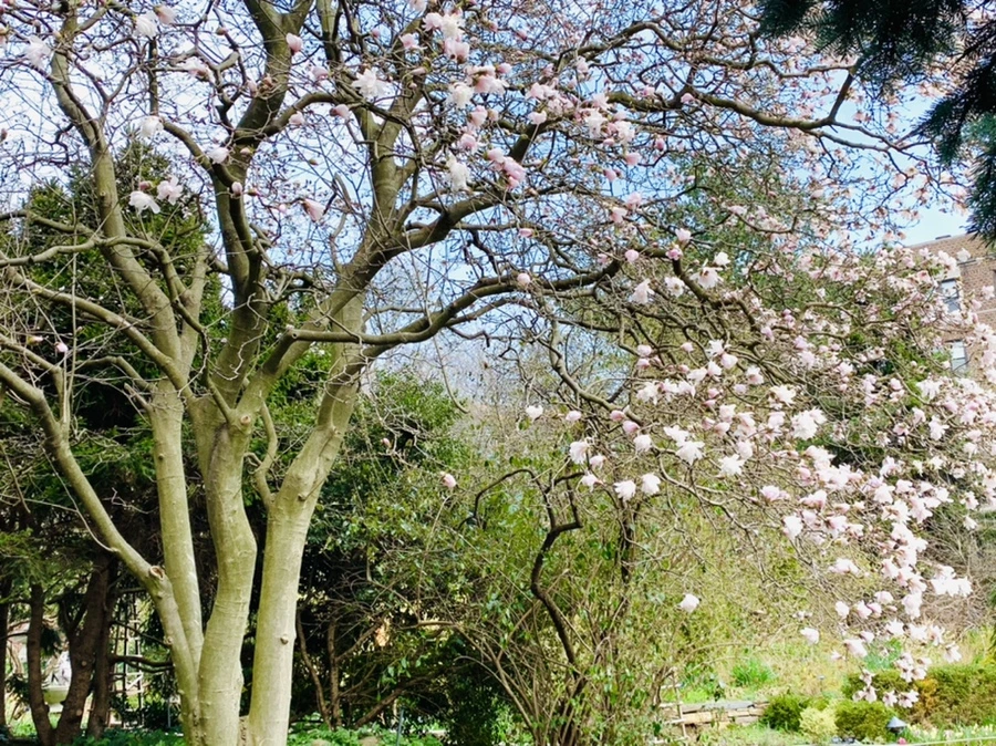 IMG_7122.jpg?type=w966