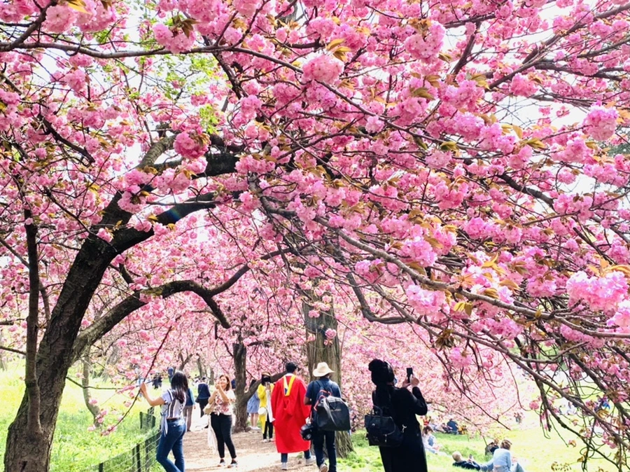 IMG_5186.jpg?type=w966