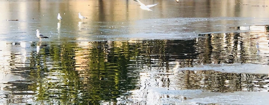 IMG_2627.jpg?type=w966