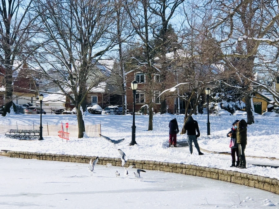 IMG_1316.jpg?type=w966