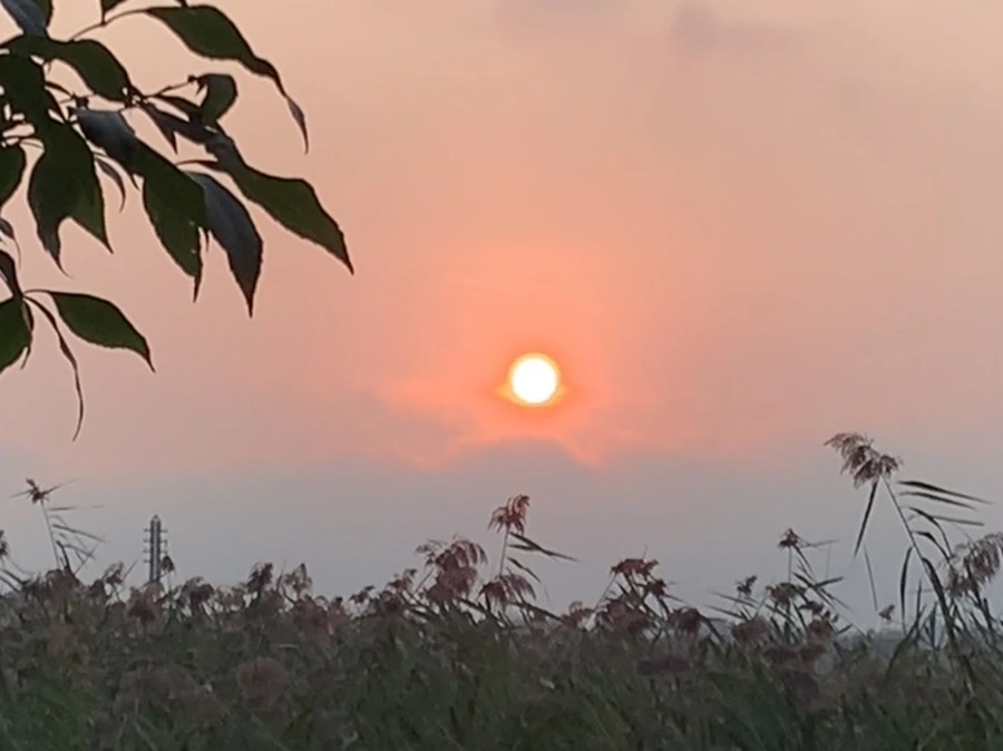 IMG_1143.jpg?type=w966