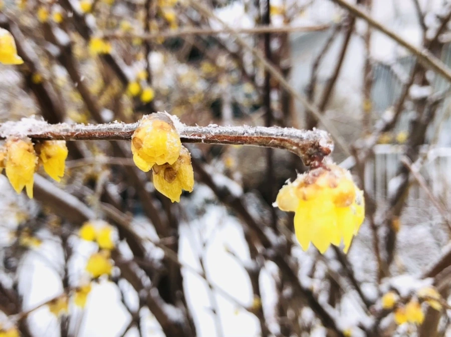 IMG_3507.jpg?type=w966