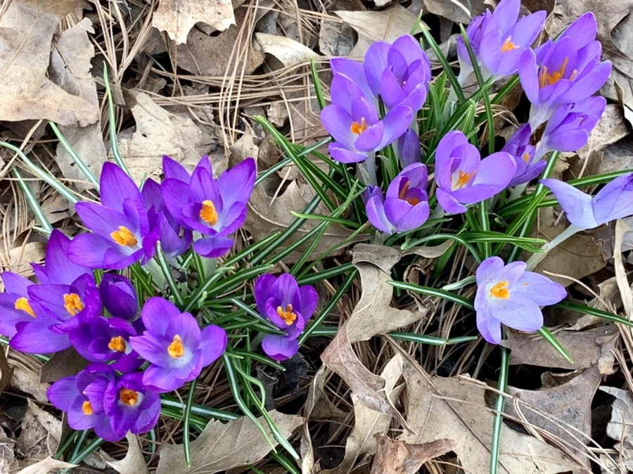 IMG_1263.jpg?type=w966