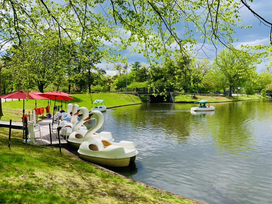 IMG_2481.jpg?type=w966