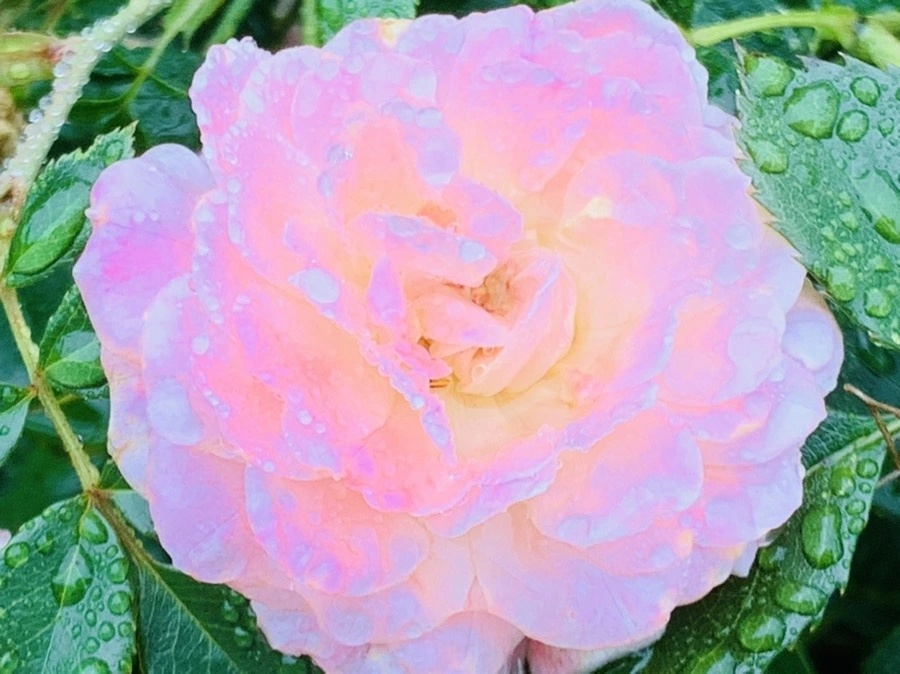 HrQA4gXttc8TjblSK334nGsauM4